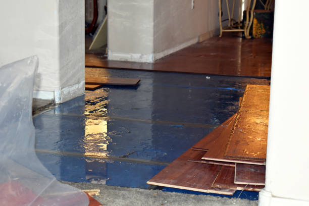 Professional Water Extraction technician working in Grandview, MO
